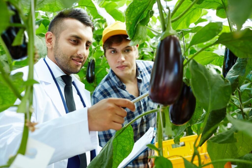 food safety audit software